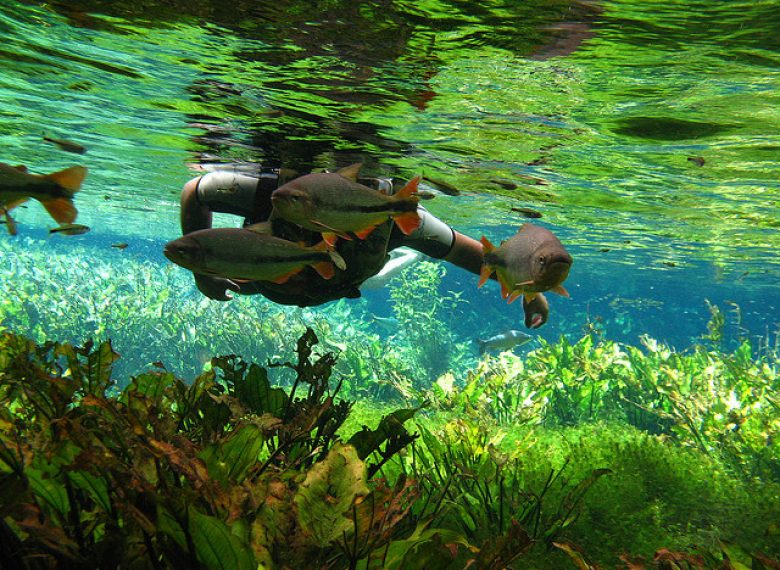 Brasandes Agência de Turismo e Viagens  Sulamerica - Encontre Pacotes Turisticos  Hotéis e Passagens Aéreas, Viaje com Segurança para qualquer destino.