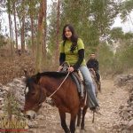 Brasandes Agência de Turismo e Viagens  Sulamerica - Encontre Pacotes Turisticos  Hotéis e Passagens Aéreas, Viaje com Segurança para qualquer destino.