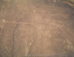 Brasandes Agência de Turismo e Viagens  Sulamerica - Encontre Pacotes Turisticos  Hotéis e Passagens Aéreas, Viaje com Segurança para qualquer destino.