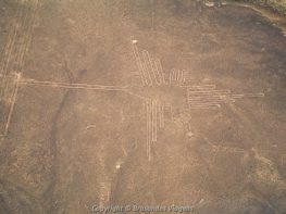 Brasandes Agência de Turismo e Viagens  Sulamerica - Encontre Pacotes Turisticos  Hotéis e Passagens Aéreas, Viaje com Segurança para qualquer destino.